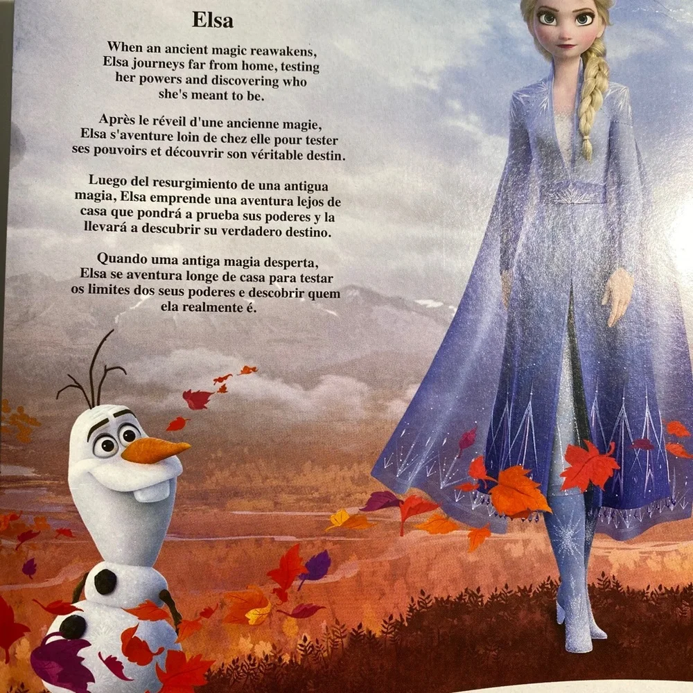 Frozen Elsa Doll Disney Frozen Princess Rare Barbie Doll Collectors Item !